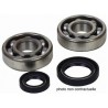 Kit roulements + spi vilebrequin SUZUKI 250 RM-X 1990-2000