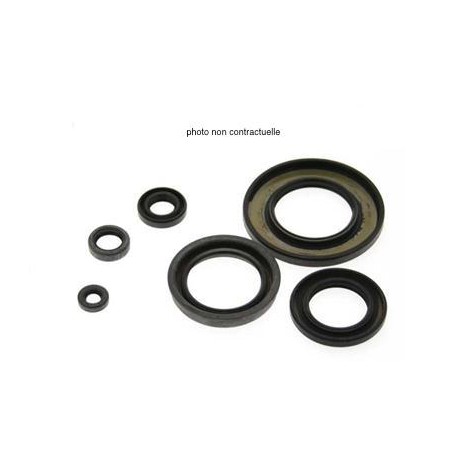 Pochette joints spi bas moteur CENTAURO HUSABERG 250 FE 2013