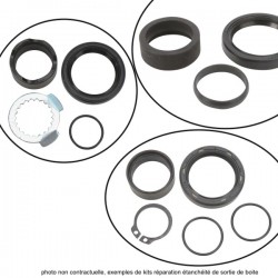 Kit reconditionnement étanchéité sortie de boite  ALL-BALLS GAS-GAS 250 et 300 EC-F