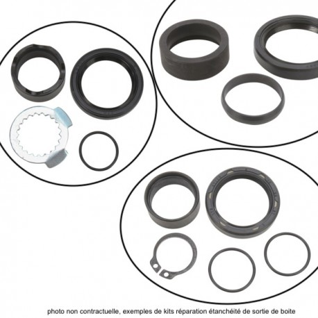 Kit reconditionnement étanchéité sortie de boite  ALL-BALLS HM 250 CRF-X  