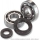 Kit roulements + spi vilebrequin ALL BALLS HONDA 250 XR  